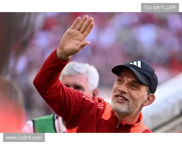 图赫尔德甲经验 图赫尔德甲经验