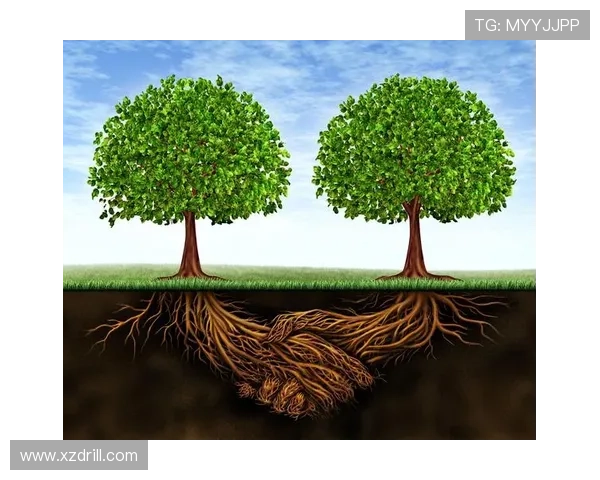 个人能力与团队表现:库杜斯的生涯评估 个人能力与团队表现:库杜斯的生涯评估